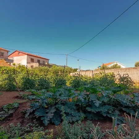 And With Parking Space Jelsa, Hvar - 4028 Guest house 3*