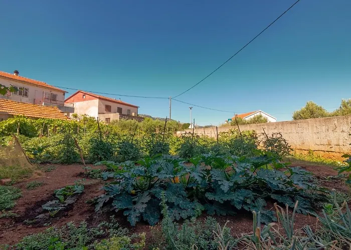 And With Parking Space - Hvar - 4028 Konukevi 3*